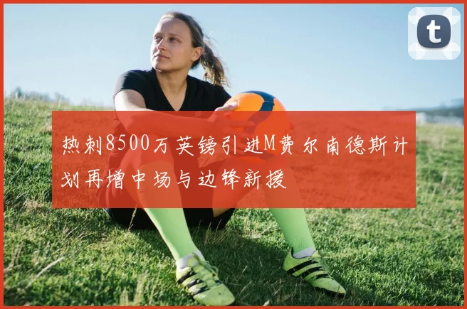 热刺8500万英镑引进M费尔南德斯计划再增中场与边锋新援