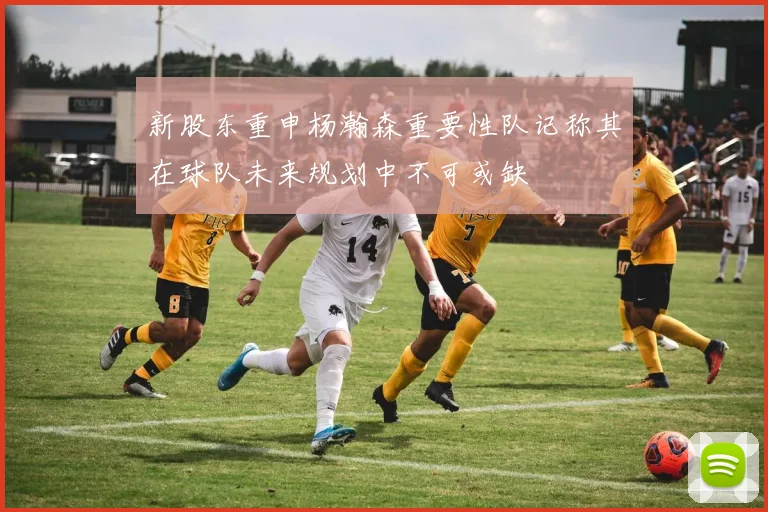 新股东重申杨瀚森重要性队记称其在球队未来规划中不可或缺