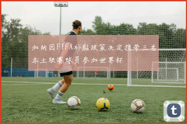 加纳因FIFA补贴政策决定携带三名本土联赛球员参加世界杯
